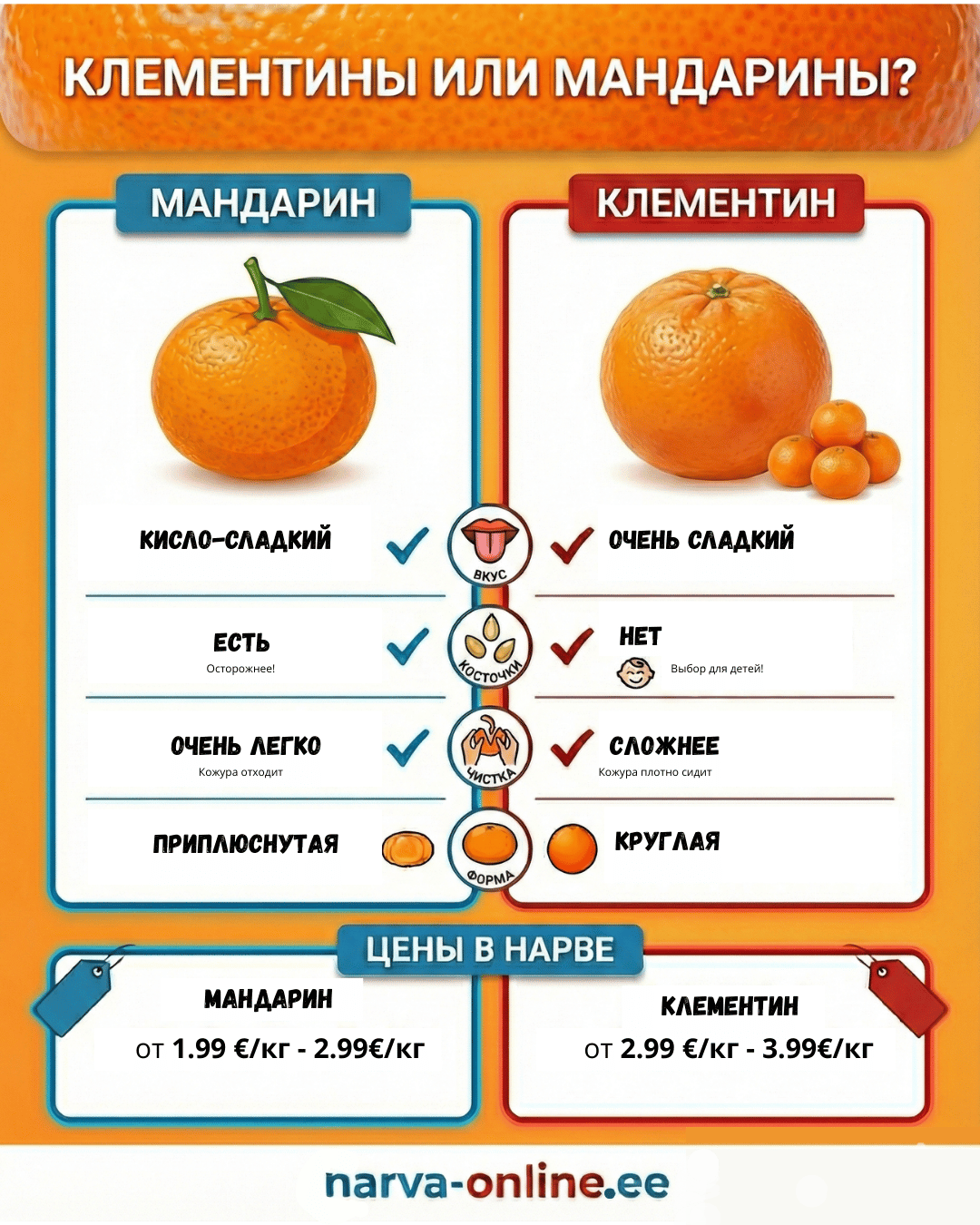 Инфографика: клементины и мандарины, разница во вкусе, наличии косточек, кожуре и форме плодов